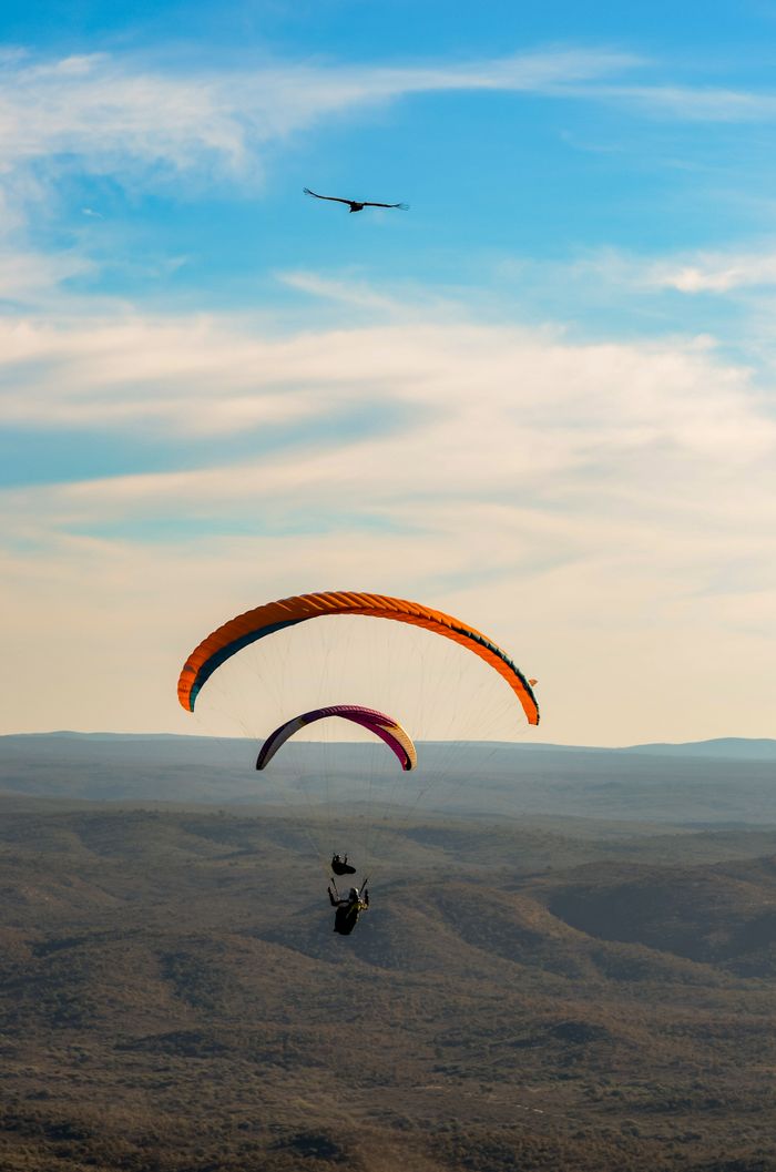 Two paragliders enjoying a thrilling flight amidst blue skies and distant horizons.
